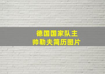 德国国家队主帅勒夫简历图片