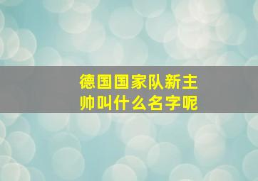 德国国家队新主帅叫什么名字呢