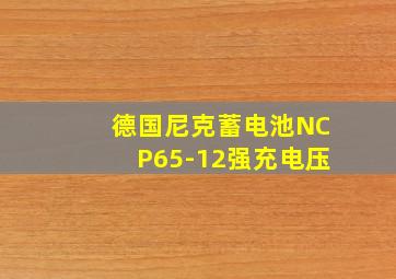 德国尼克蓄电池NCP65-12强充电压