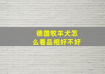 德国牧羊犬怎么看品相好不好