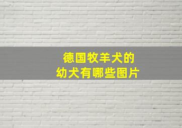 德国牧羊犬的幼犬有哪些图片