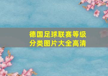 德国足球联赛等级分类图片大全高清