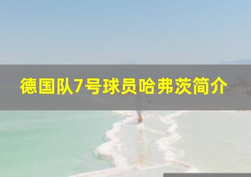 德国队7号球员哈弗茨简介