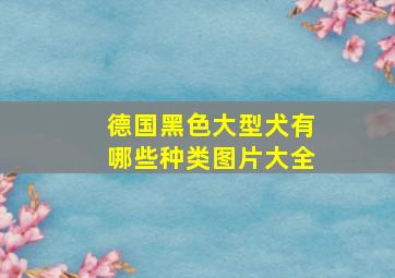 德国黑色大型犬有哪些种类图片大全