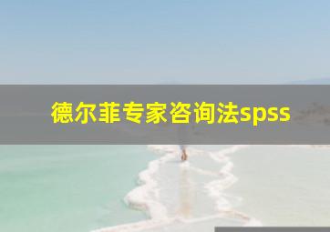 德尔菲专家咨询法spss