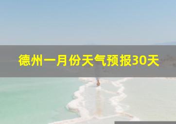 德州一月份天气预报30天