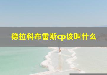 德拉科布雷斯cp该叫什么