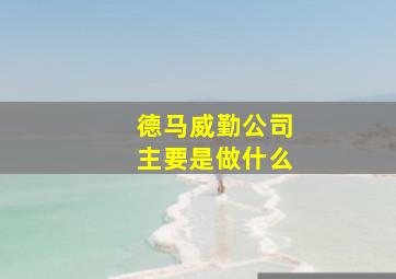 德马威勤公司主要是做什么