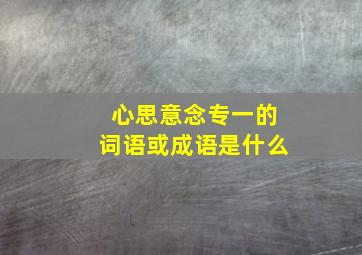 心思意念专一的词语或成语是什么