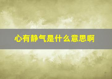 心有静气是什么意思啊