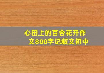 心田上的百合花开作文800字记叙文初中