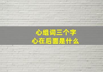 心组词三个字心在后面是什么