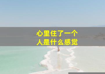 心里住了一个人是什么感觉