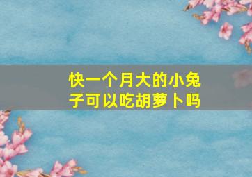 快一个月大的小兔子可以吃胡萝卜吗