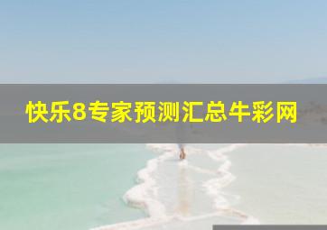 快乐8专家预测汇总牛彩网