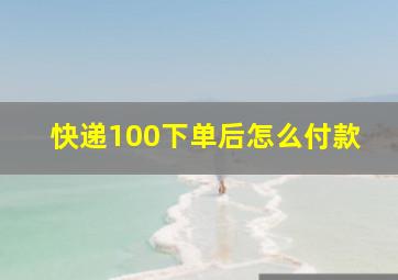 快递100下单后怎么付款