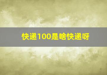 快递100是啥快递呀