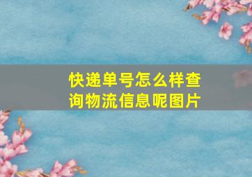 快递单号怎么样查询物流信息呢图片