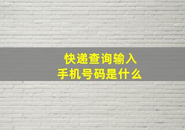 快递查询输入手机号码是什么