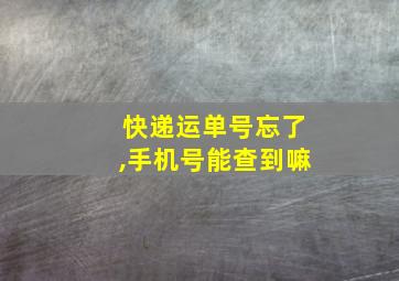 快递运单号忘了,手机号能查到嘛