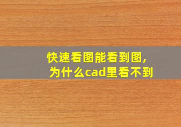 快速看图能看到图,为什么cad里看不到