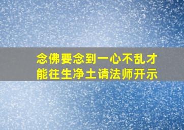 念佛要念到一心不乱才能往生净土请法师开示