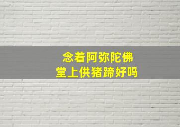 念着阿弥陀佛堂上供猪蹄好吗