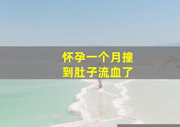 怀孕一个月撞到肚子流血了