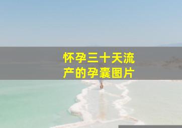 怀孕三十天流产的孕囊图片