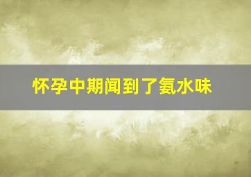 怀孕中期闻到了氨水味