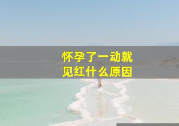 怀孕了一动就见红什么原因