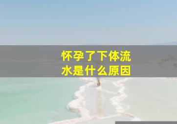 怀孕了下体流水是什么原因