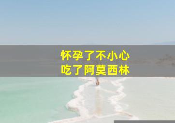 怀孕了不小心吃了阿莫西林