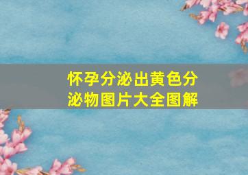 怀孕分泌出黄色分泌物图片大全图解