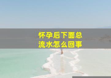 怀孕后下面总流水怎么回事