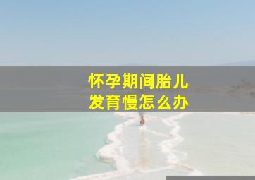 怀孕期间胎儿发育慢怎么办