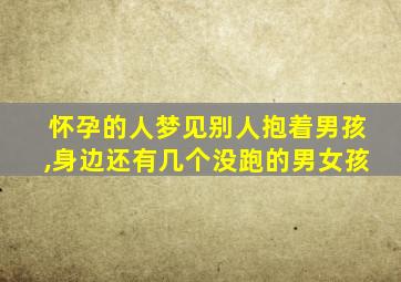 怀孕的人梦见别人抱着男孩,身边还有几个没跑的男女孩