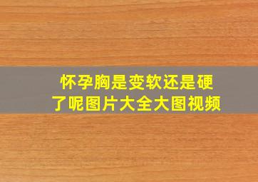 怀孕胸是变软还是硬了呢图片大全大图视频