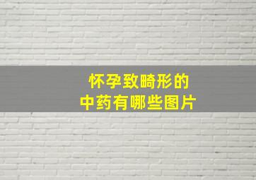 怀孕致畸形的中药有哪些图片