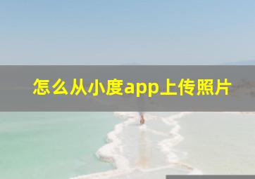 怎么从小度app上传照片