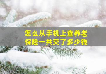 怎么从手机上查养老保险一共交了多少钱