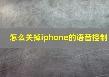 怎么关掉iphone的语音控制