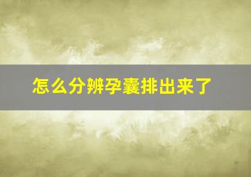 怎么分辨孕囊排出来了