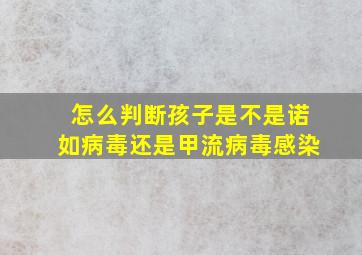 怎么判断孩子是不是诺如病毒还是甲流病毒感染