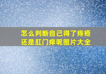 怎么判断自己得了痔疮还是肛门痒呢图片大全