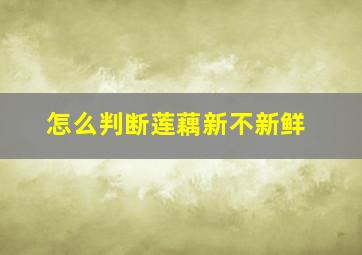 怎么判断莲藕新不新鲜