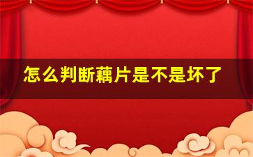 怎么判断藕片是不是坏了