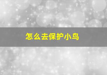 怎么去保护小鸟