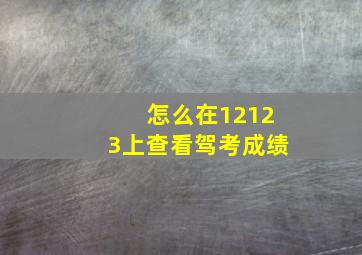 怎么在12123上查看驾考成绩