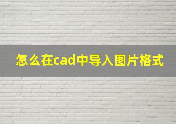 怎么在cad中导入图片格式